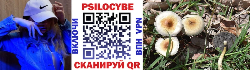 Купить где  Кинешма  Псилоцибиновые грибы MAGIC MUSHROOMS 