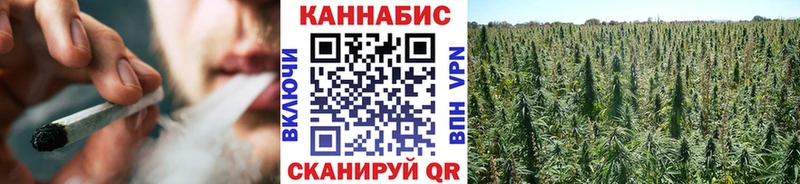 Купить закладки  Кинешма  Марихуана Amnesia 
